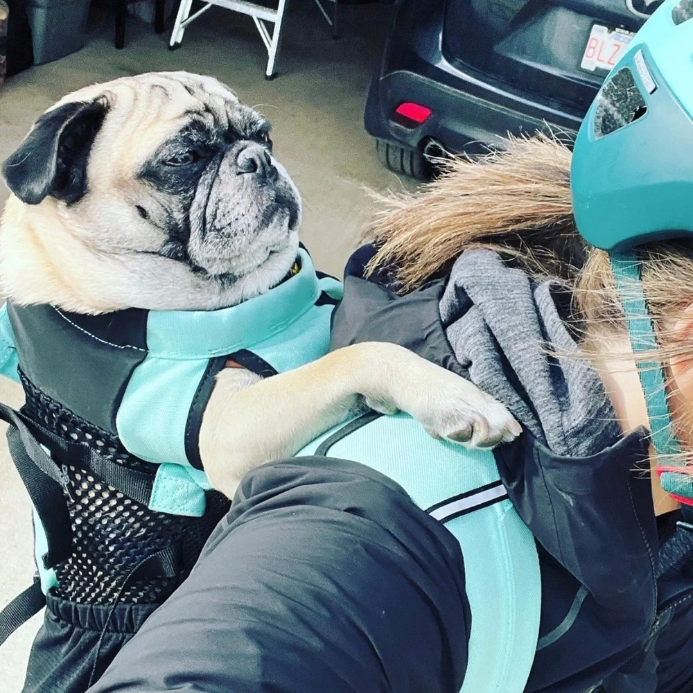 K9 Bag